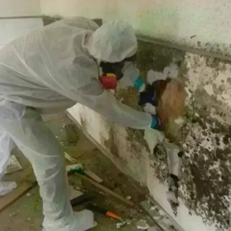 Mold Remediation and Removal in Ocean Acres, NJ