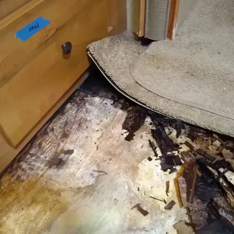 Wood Floor Water Damage in Ocean Acres, NJ